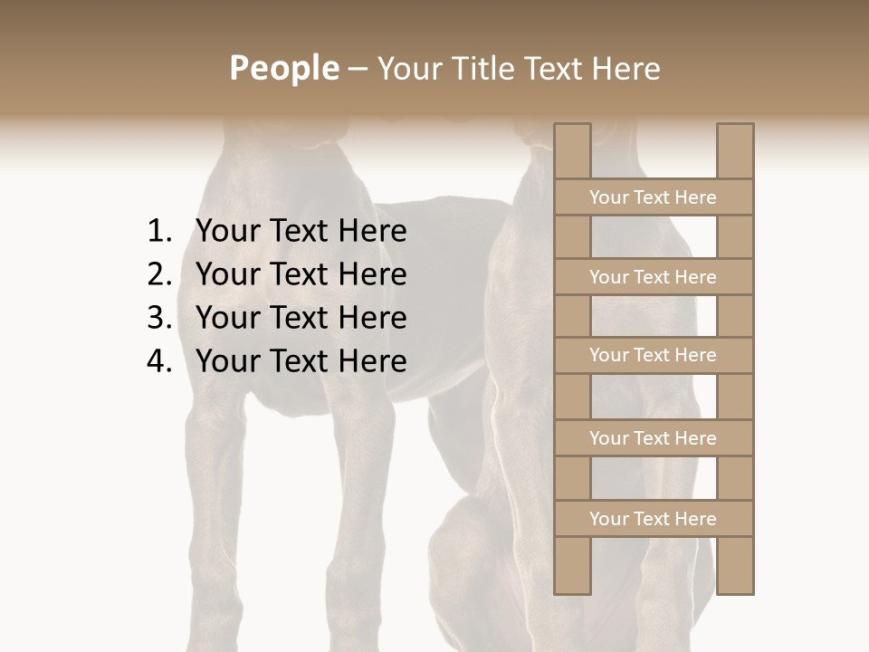 Mammal Purebred No People PowerPoint Template