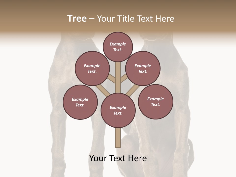 Mammal Purebred No People PowerPoint Template