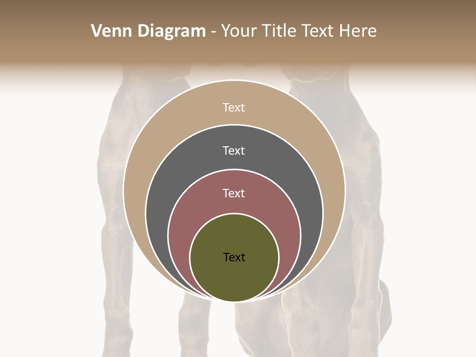 Mammal Purebred No People PowerPoint Template