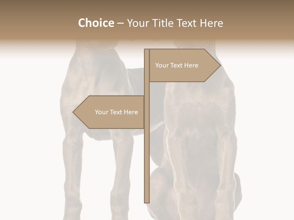 Mammal Purebred No People PowerPoint Template