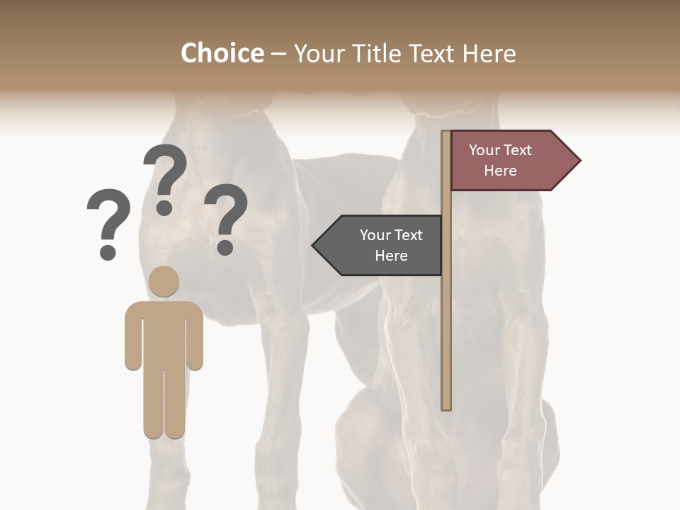 Mammal Purebred No People PowerPoint Template