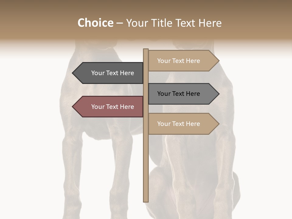 Mammal Purebred No People PowerPoint Template