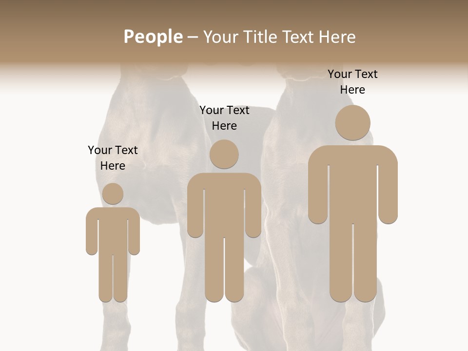 Mammal Purebred No People PowerPoint Template