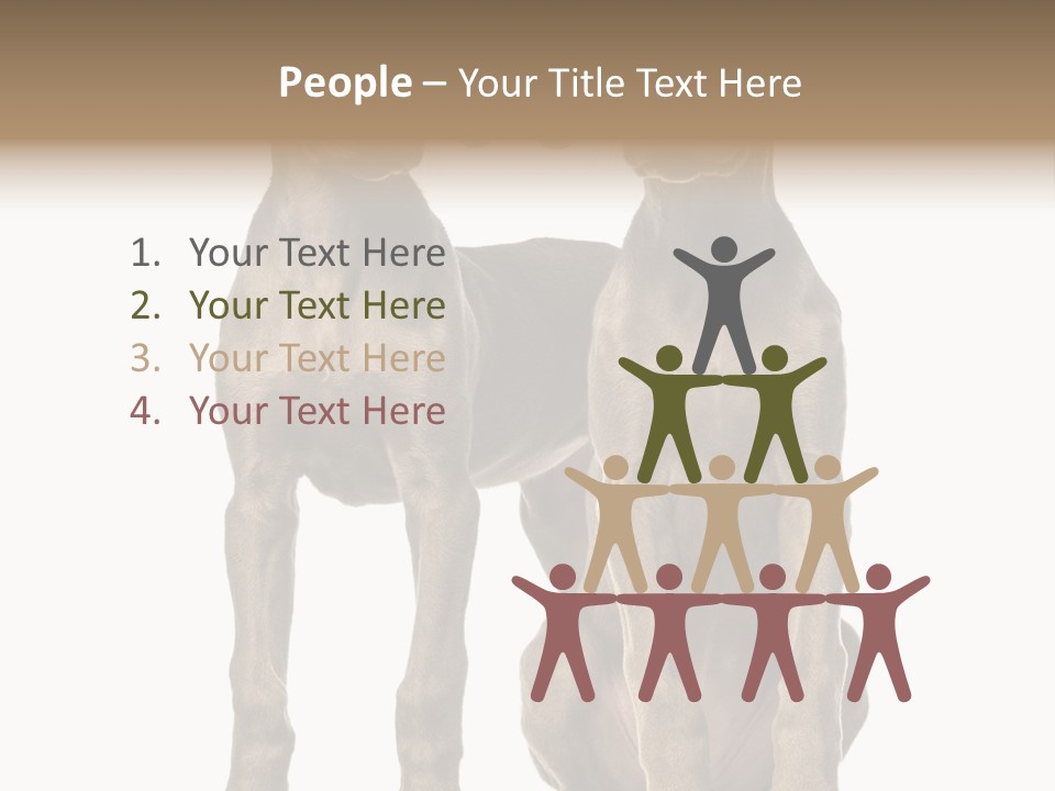 Mammal Purebred No People PowerPoint Template