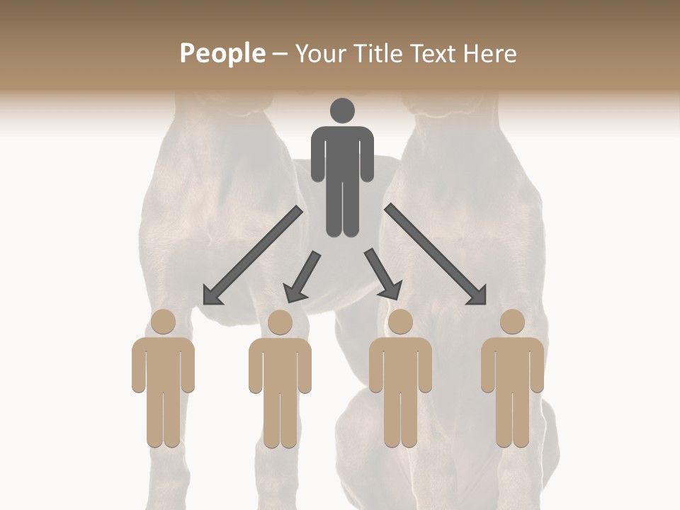 Mammal Purebred No People PowerPoint Template