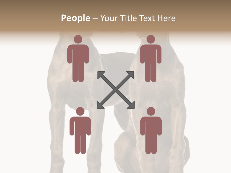 Mammal Purebred No People PowerPoint Template