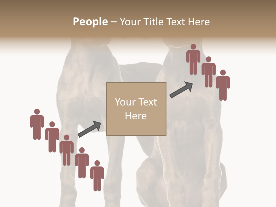 Mammal Purebred No People PowerPoint Template