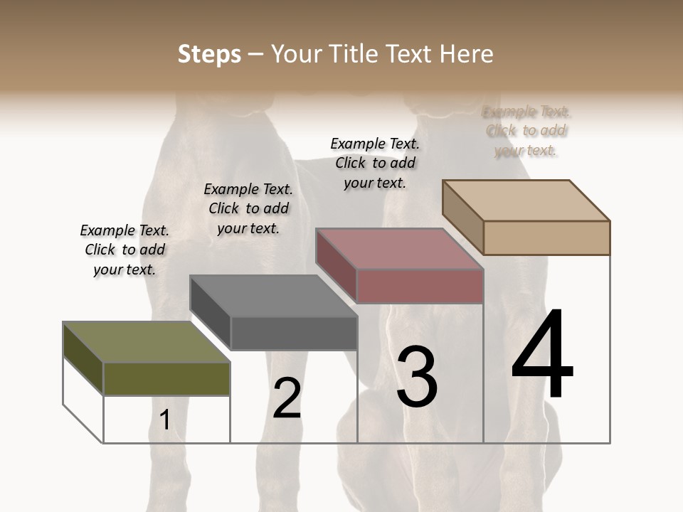 Mammal Purebred No People PowerPoint Template