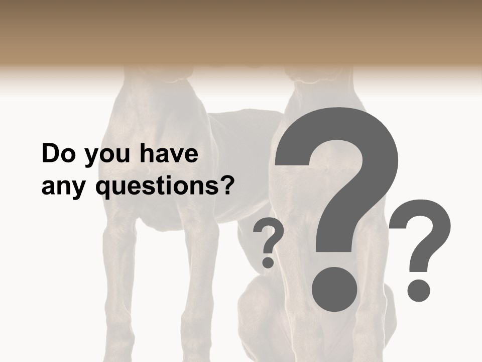 Mammal Purebred No People PowerPoint Template