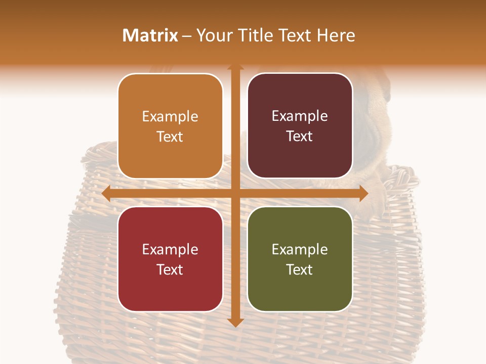 No People Purebred Dog Alone PowerPoint Template