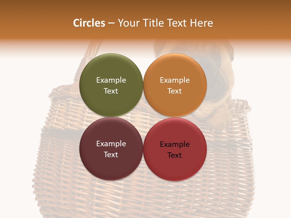 No People Purebred Dog Alone PowerPoint Template