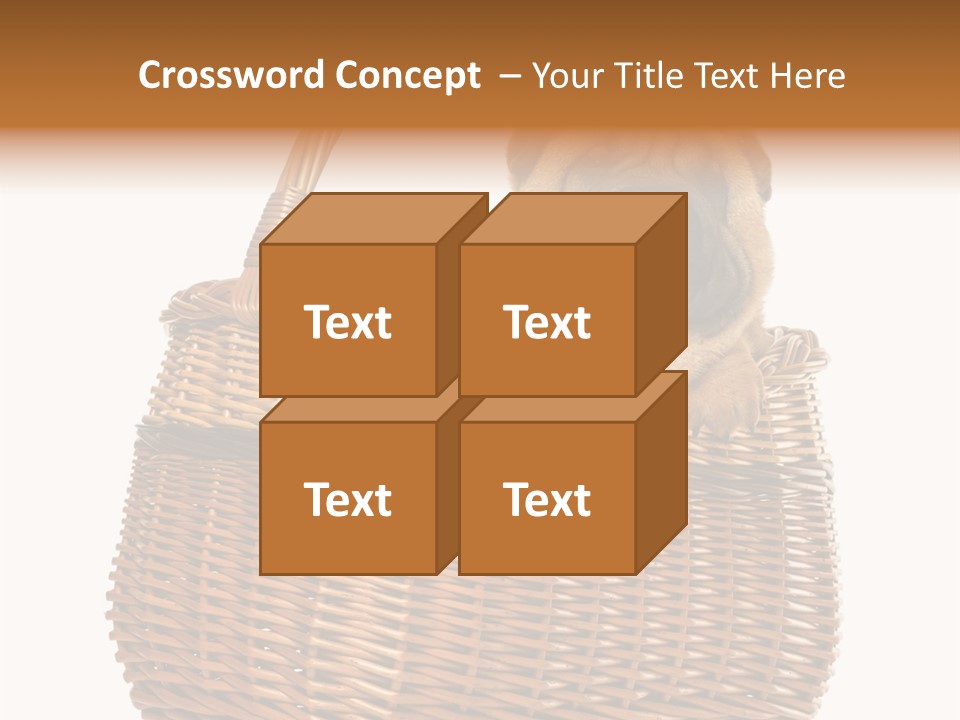 No People Purebred Dog Alone PowerPoint Template