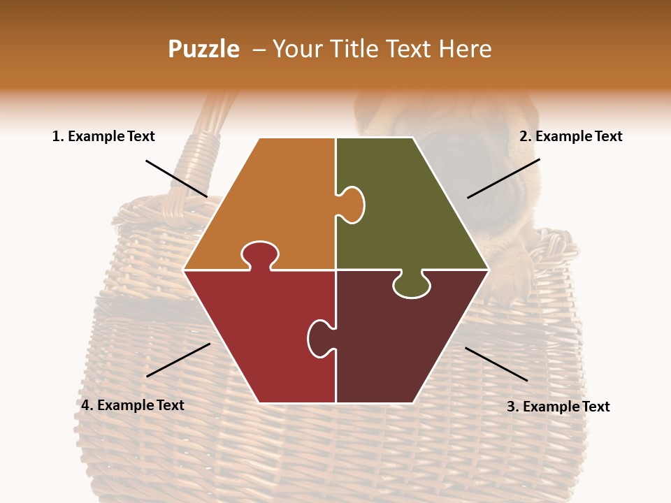 No People Purebred Dog Alone PowerPoint Template