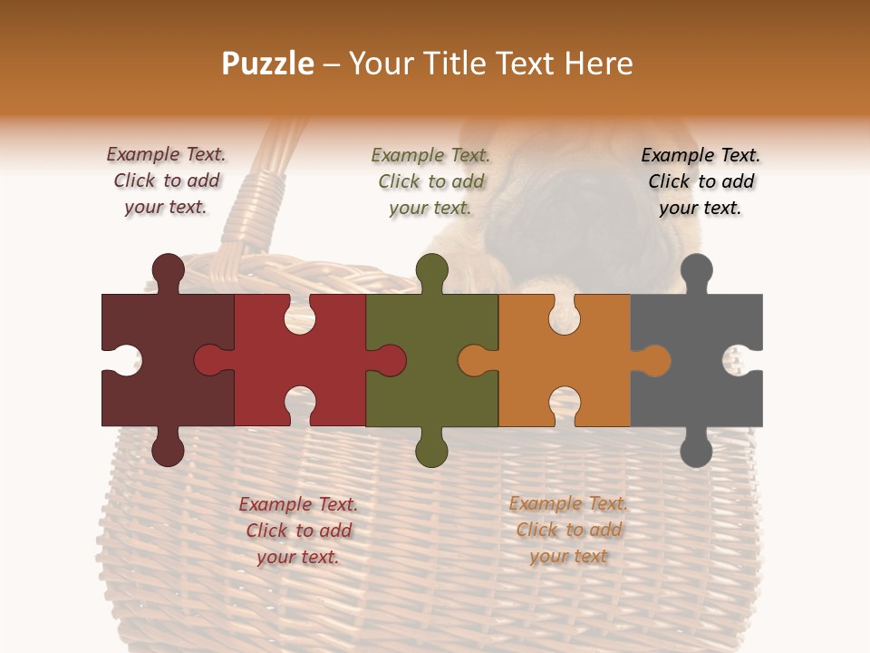 No People Purebred Dog Alone PowerPoint Template