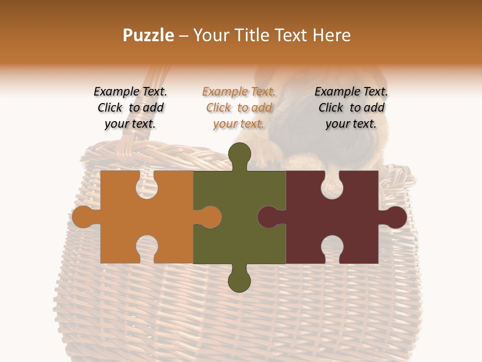 No People Purebred Dog Alone PowerPoint Template