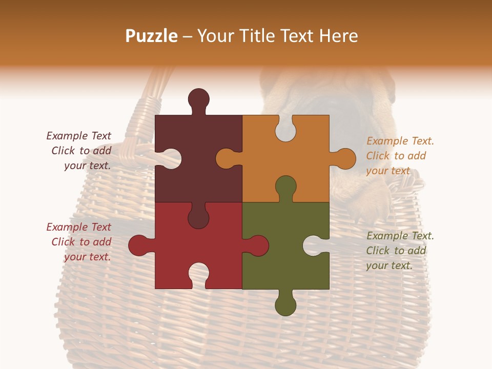 No People Purebred Dog Alone PowerPoint Template