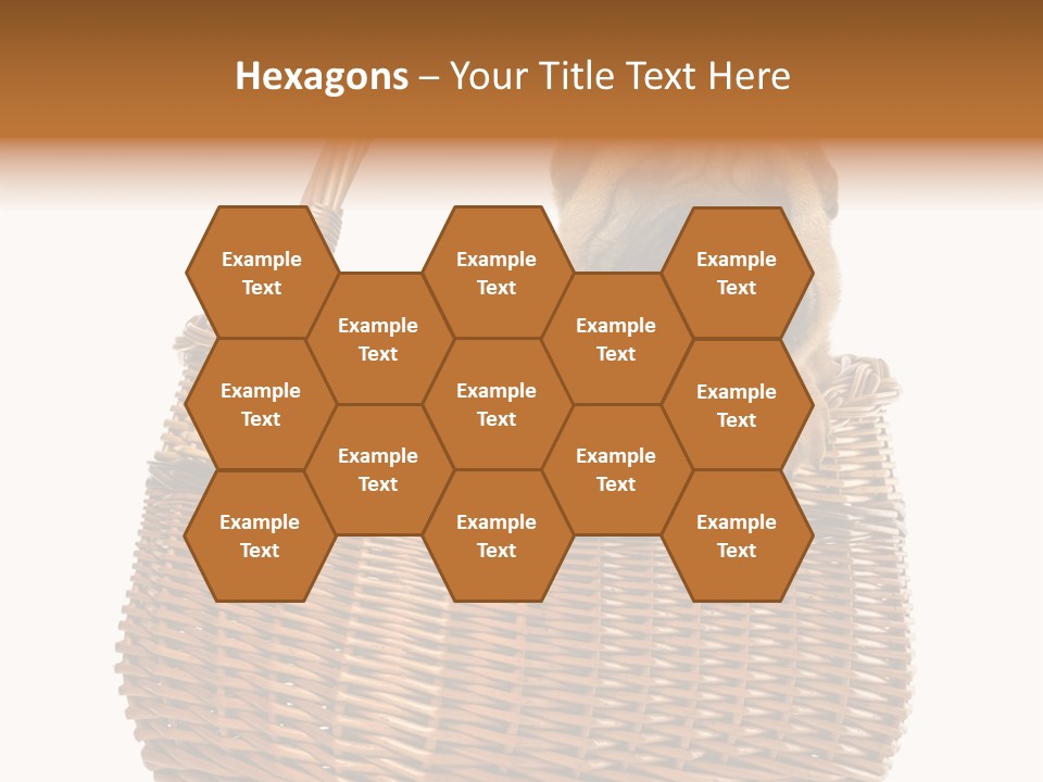 No People Purebred Dog Alone PowerPoint Template