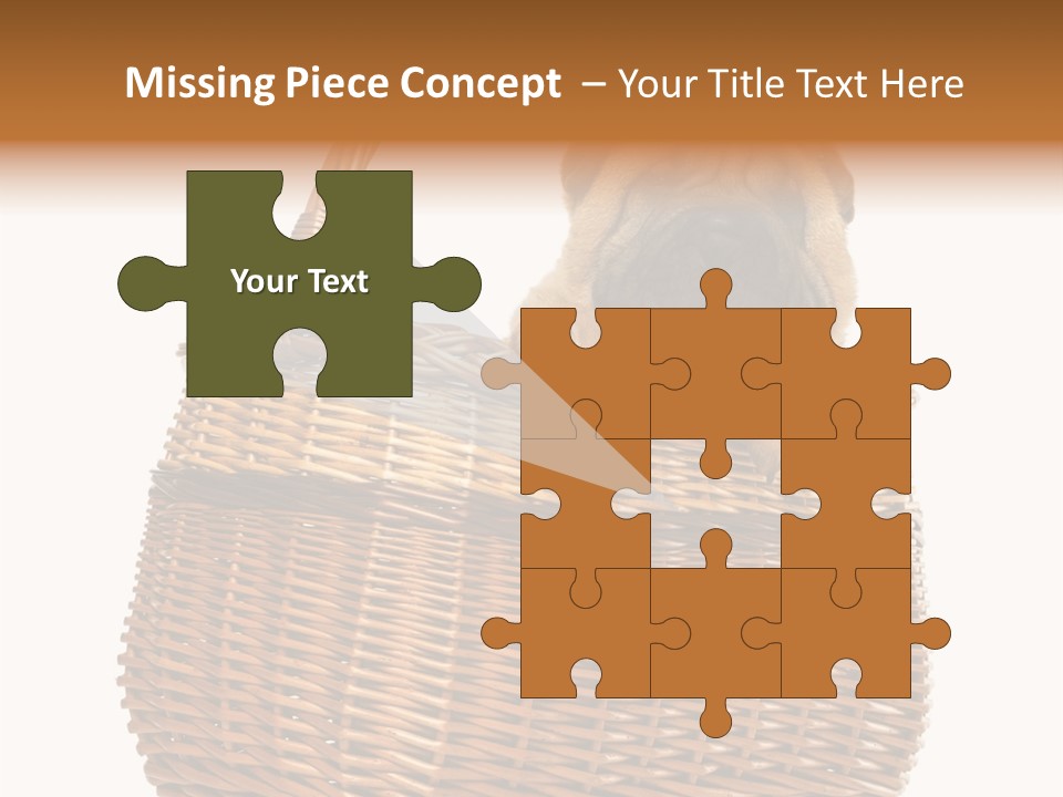 No People Purebred Dog Alone PowerPoint Template