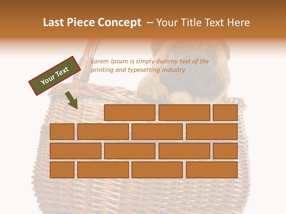 No People Purebred Dog Alone PowerPoint Template