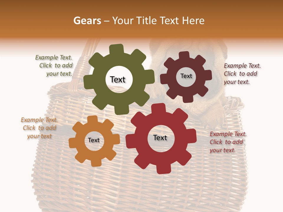 No People Purebred Dog Alone PowerPoint Template