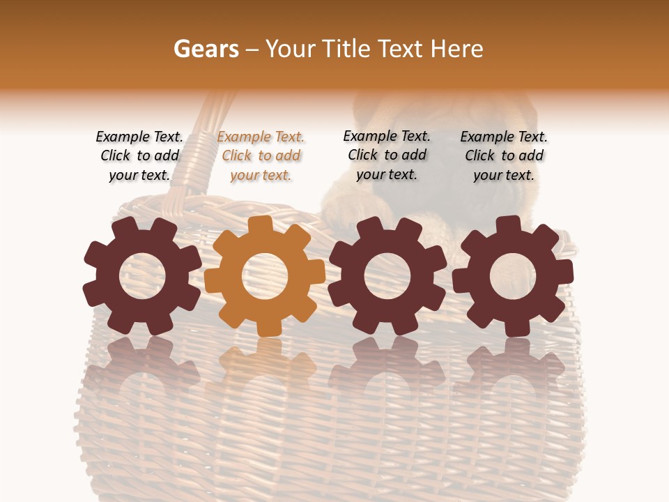 No People Purebred Dog Alone PowerPoint Template