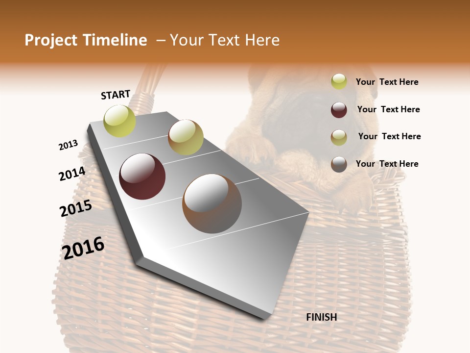 No People Purebred Dog Alone PowerPoint Template