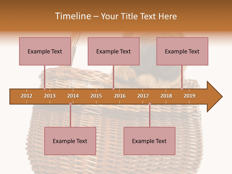 No People Purebred Dog Alone PowerPoint Template