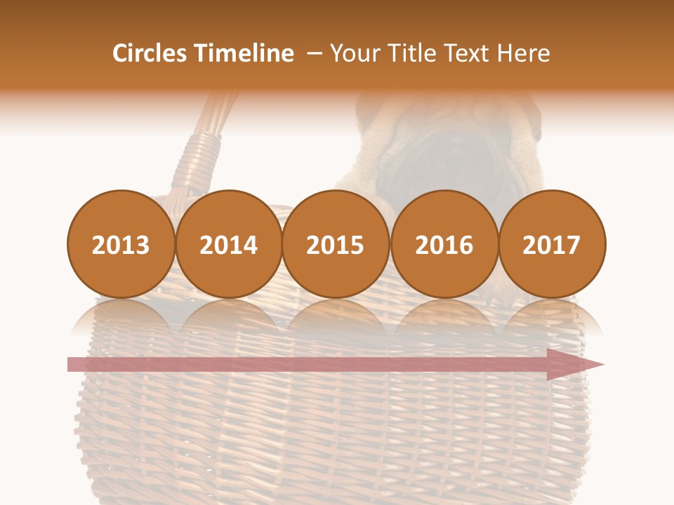 No People Purebred Dog Alone PowerPoint Template