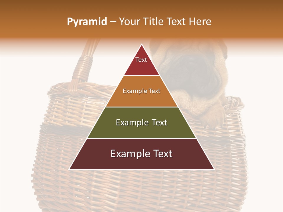 No People Purebred Dog Alone PowerPoint Template