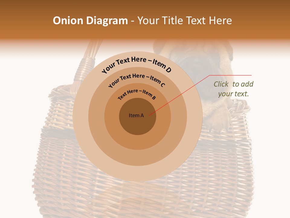 No People Purebred Dog Alone PowerPoint Template