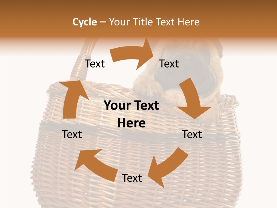 No People Purebred Dog Alone PowerPoint Template