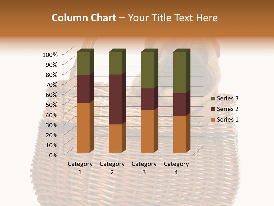 No People Purebred Dog Alone PowerPoint Template