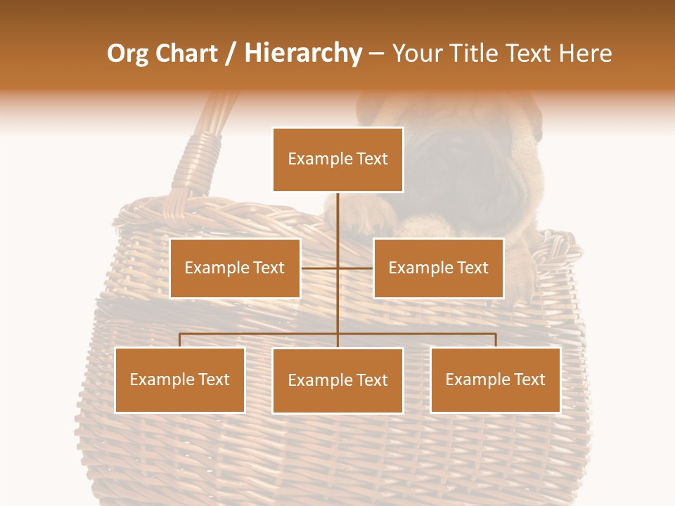 No People Purebred Dog Alone PowerPoint Template