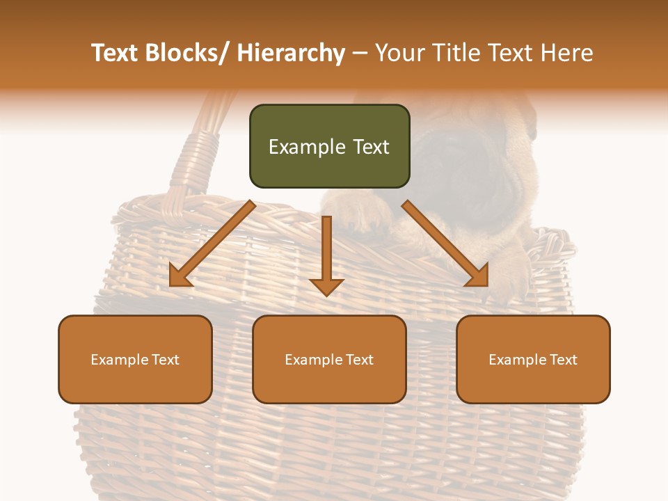 No People Purebred Dog Alone PowerPoint Template