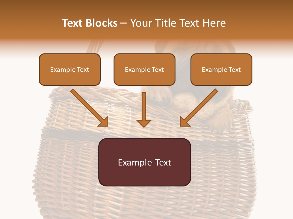 No People Purebred Dog Alone PowerPoint Template