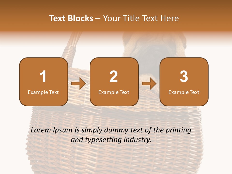 No People Purebred Dog Alone PowerPoint Template