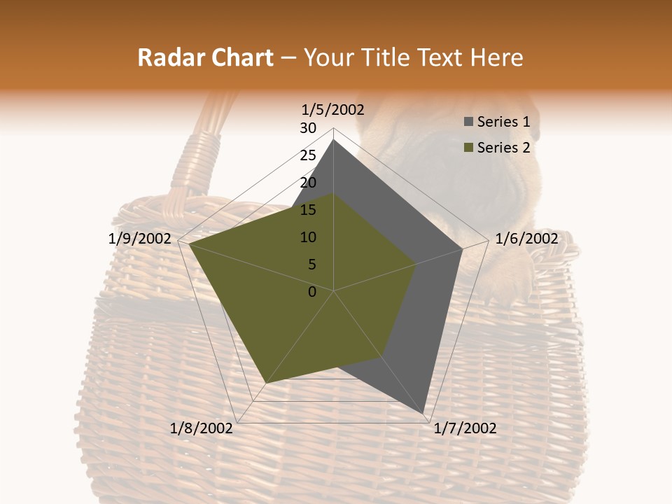 No People Purebred Dog Alone PowerPoint Template