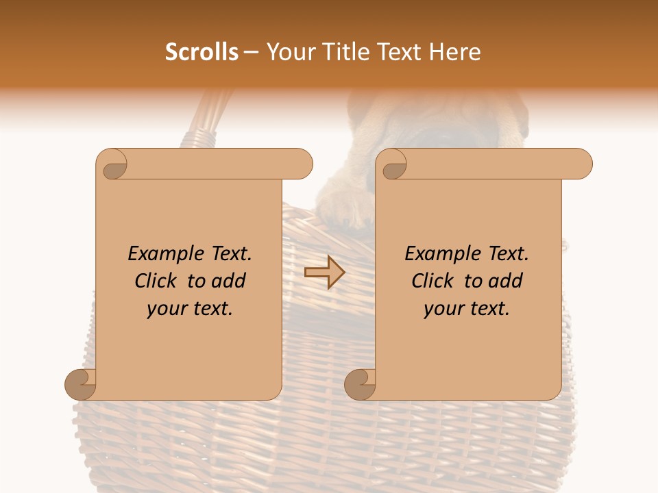 No People Purebred Dog Alone PowerPoint Template
