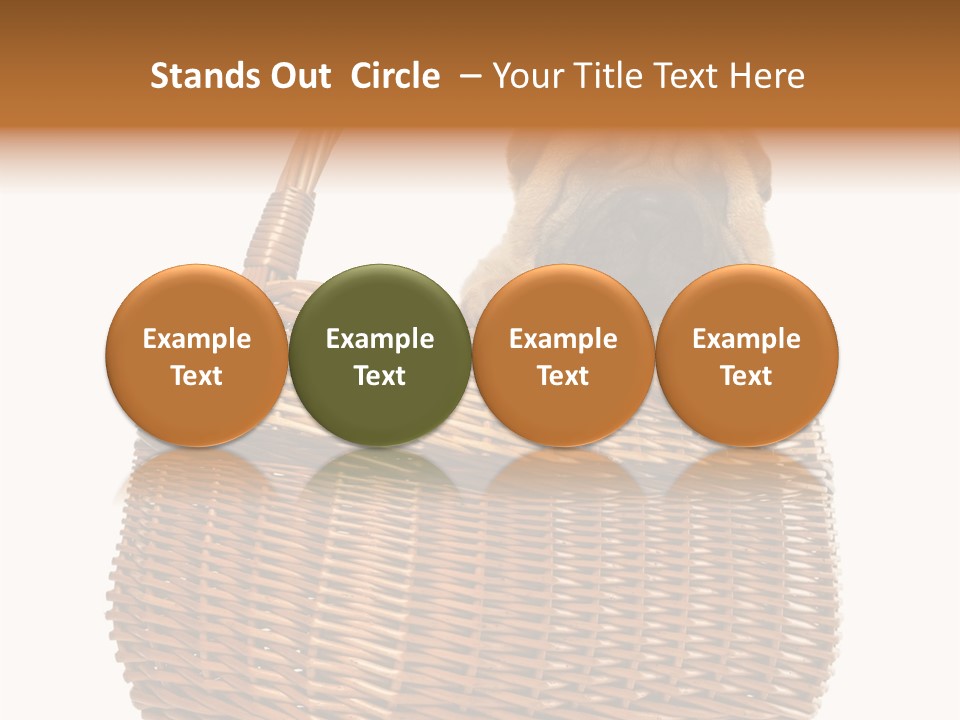 No People Purebred Dog Alone PowerPoint Template