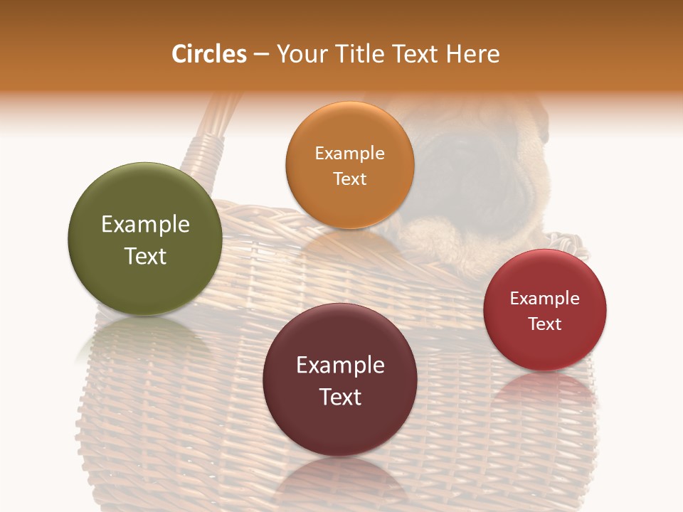 No People Purebred Dog Alone PowerPoint Template