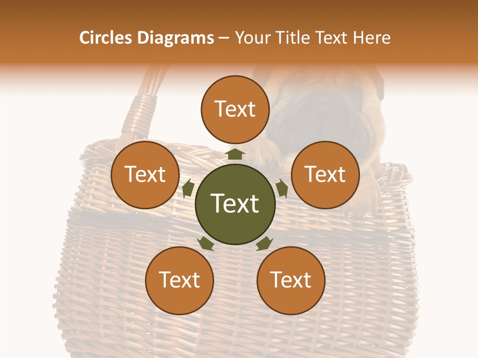 No People Purebred Dog Alone PowerPoint Template