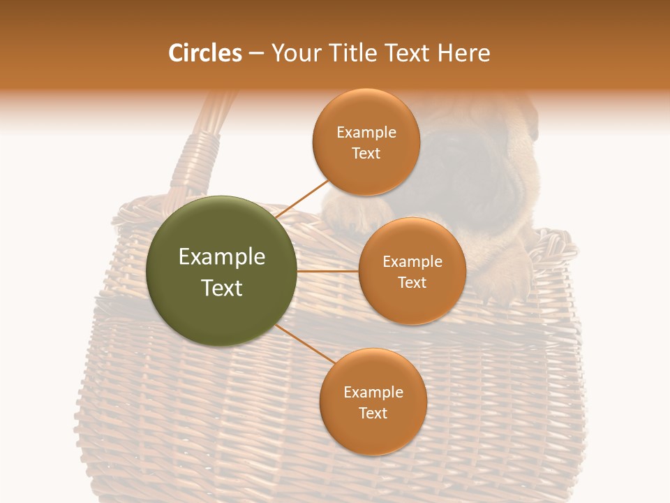 No People Purebred Dog Alone PowerPoint Template