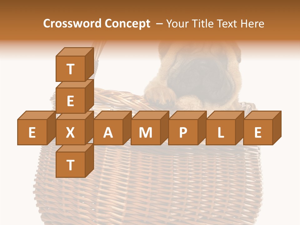 No People Purebred Dog Alone PowerPoint Template