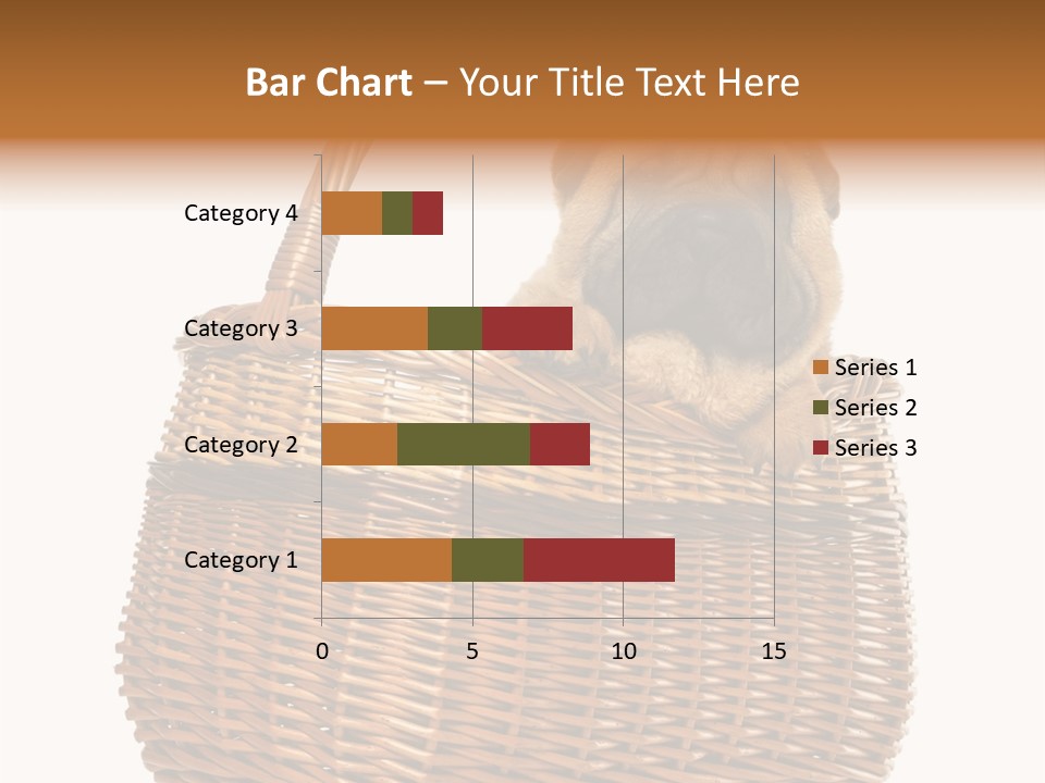 No People Purebred Dog Alone PowerPoint Template