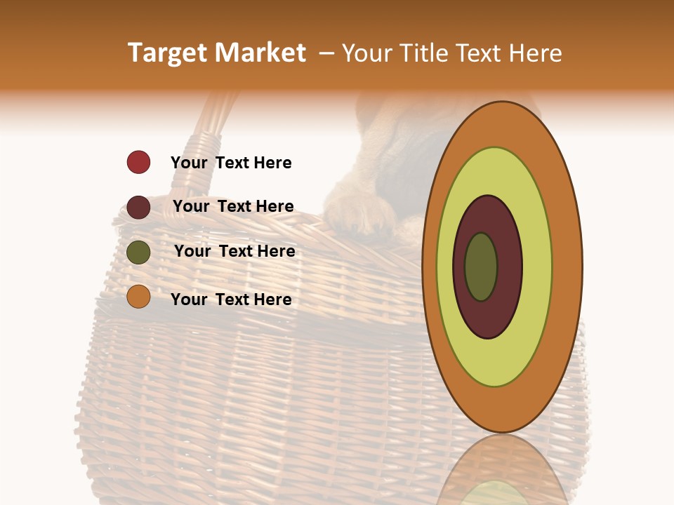 No People Purebred Dog Alone PowerPoint Template