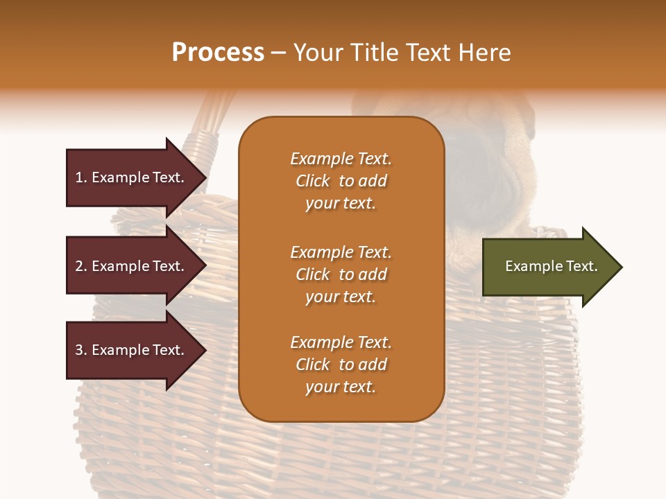 No People Purebred Dog Alone PowerPoint Template