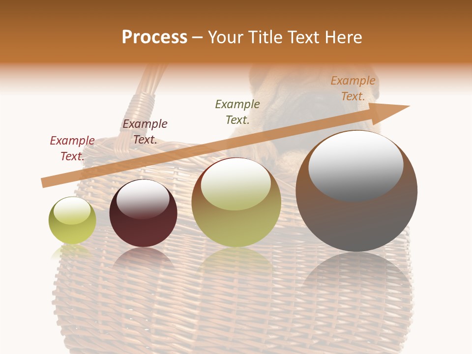 No People Purebred Dog Alone PowerPoint Template