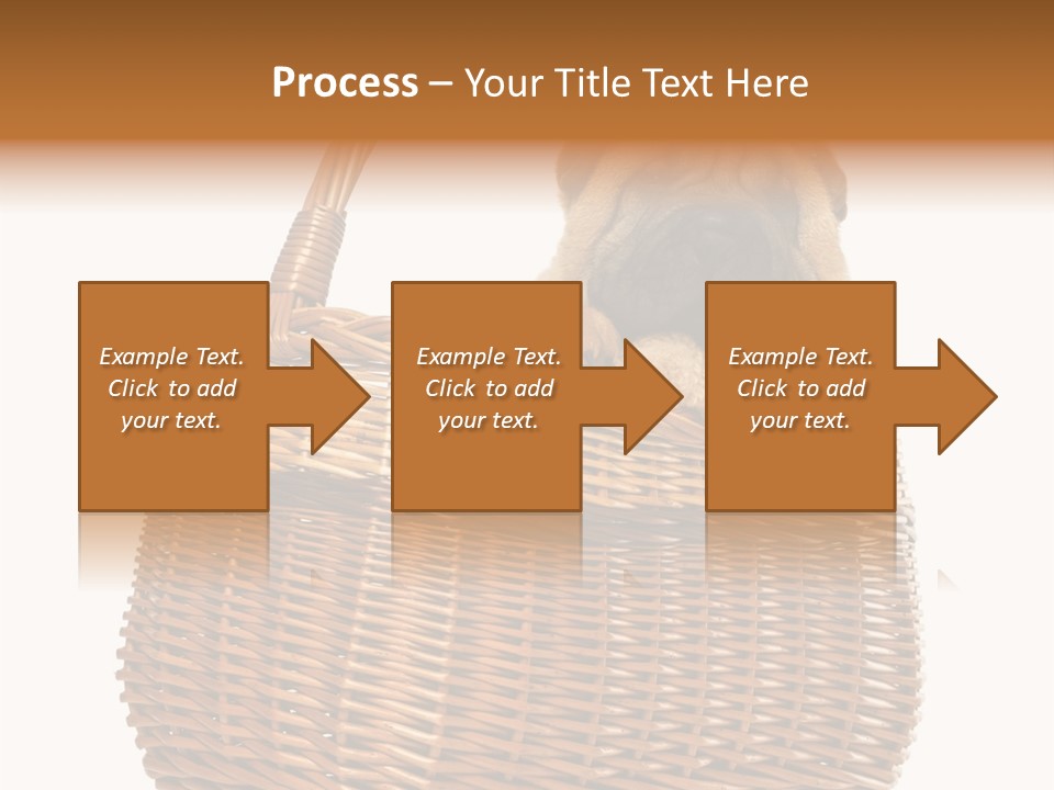 No People Purebred Dog Alone PowerPoint Template