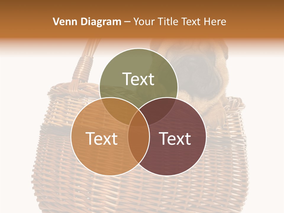 No People Purebred Dog Alone PowerPoint Template