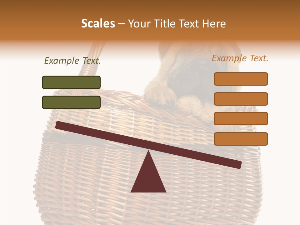 No People Purebred Dog Alone PowerPoint Template